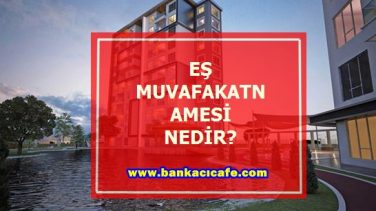 Eş Muvafakatnamesi Nedir Nasıl Alınır?
